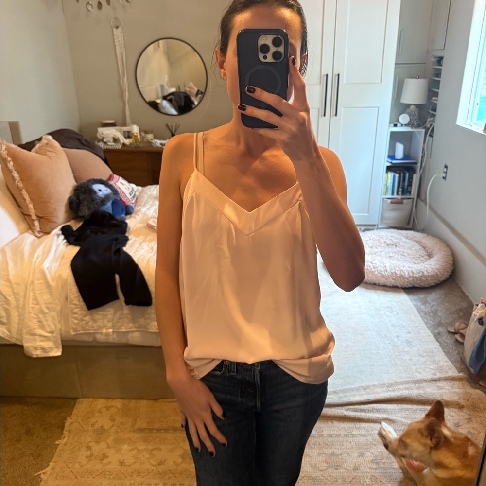 Banana Republic Soft Pink Top